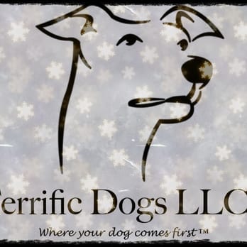 Terrific Dogs - A referral is the best form of a compliment! - Pet Training Near Me - Washington, DC, District of Columbia Terrific Dogs - A referral is the best form of a compliment! - Pet Training Near Me - Washington, DC, District of Columbia