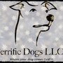 Photo of Terrific Dogs