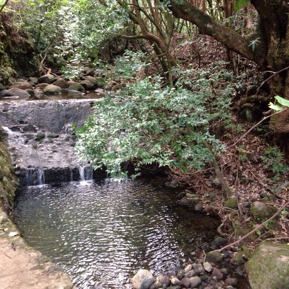Lulumahu Falls - Hiking Near Me - Honolulu, Hawaii
