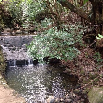 Lulumahu Falls - Hiking Near Me - Honolulu, Hawaii Lulumahu Falls - Hiking Near Me - Honolulu, Hawaii