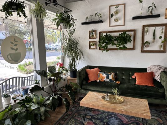 HABITAT PLANTS + COFFEE - Updated January 2025 - 103 Photos & 38 ...