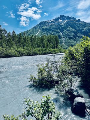 Kenai Fjords National Park by null