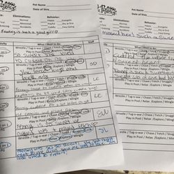 Pet Palace - Daily report card