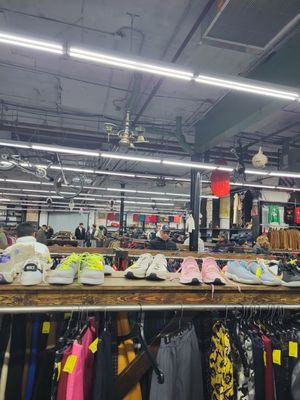 Urban Jungle by null