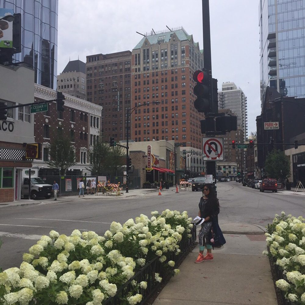 Mariano Park - Parks Near Me - Chicago, Illinois Mariano Park - Parks Near Me - Chicago, Illinois
