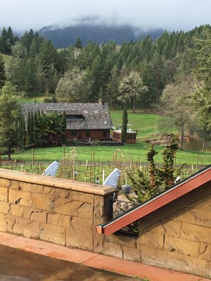 Reustle-Prayer Rock Vineyards by null