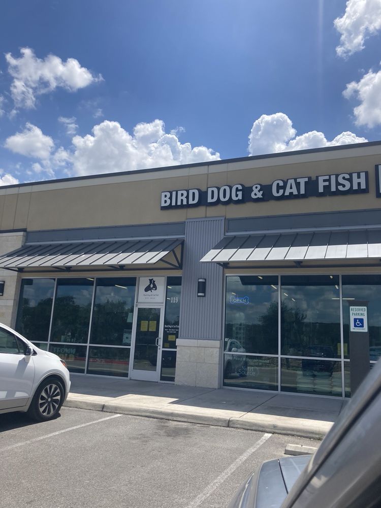 Bird Dog & Cat Fish Image