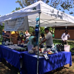 Congregation Ohr Tzafon - Apples and Honey Festival right around Rosh Hashanah