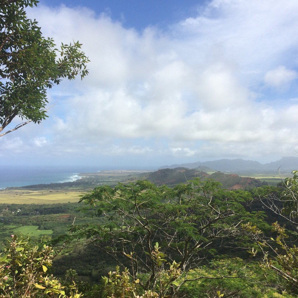 Sleeping Giant Trail - 1.75 marker - Hiking Near Me - Kapaa, Hawaii Sleeping Giant Trail - 1.75 marker - Hiking Near Me - Kapaa, Hawaii