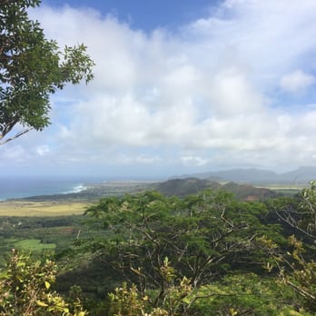 Sleeping Giant Trail - 1.75 marker - Hiking Near Me - Kapaa, Hawaii