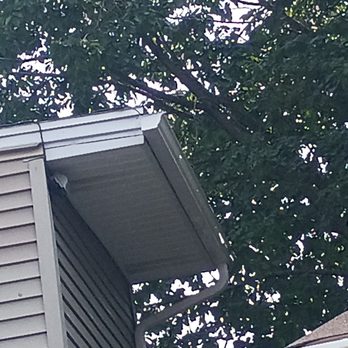 Roth's Gutter Solutions - Pressure Washers Near Me - Buffalo, New York Roth's Gutter Solutions - Pressure Washers Near Me - Buffalo, New York