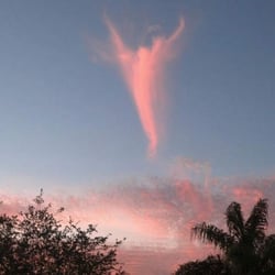 Angel Ministries