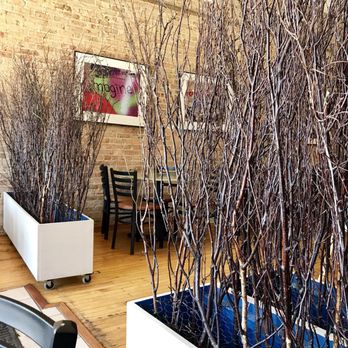 Vegan Café - Vegan Near Me - Lockport, Illinois Vegan Café - Vegan Near Me - Lockport, Illinois