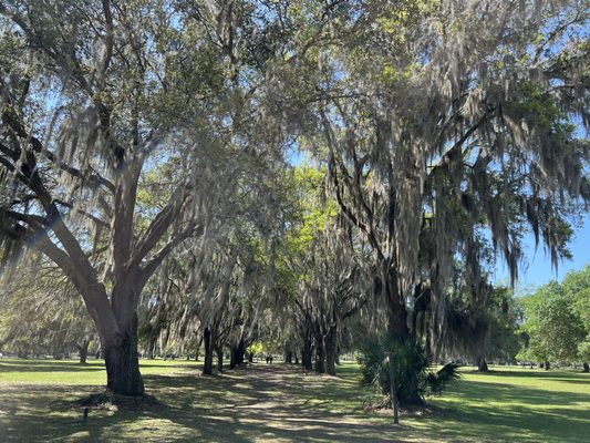 Fort Frederica National Monument by null