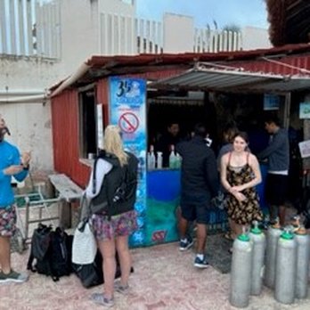 Sand Dollar Sports - Right on the water and a great restaurant attached - Scuba Diving Near Me - Cozumel, ROO Sand Dollar Sports - Right on the water and a great restaurant attached - Scuba Diving Near Me - Cozumel, ROO