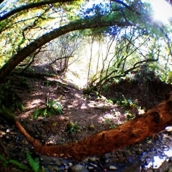 Berkeley Fire Trails - Parks Near Me - Berkeley, California