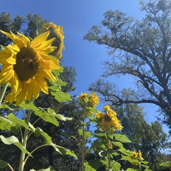 Mandala Springs - Venues & Event Spaces Near Me - Cobb, California