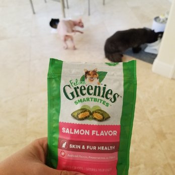 Aja Pet Service - treat time! - Dog Walkers Near Me Aja Pet Service - treat time! - Dog Walkers Near Me