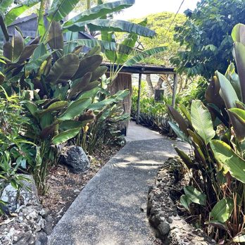 Waioli Kitchen and Bake Shop - Outdoor views - Breakfast & Brunch Near Me - Honolulu, Hawaii Waioli Kitchen and Bake Shop - Outdoor views - Breakfast & Brunch Near Me - Honolulu, Hawaii