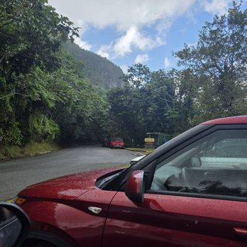 El Yunque Rainforest - Hiking Near Me - Luquillo, Puerto Rico El Yunque Rainforest - Hiking Near Me - Luquillo, Puerto Rico