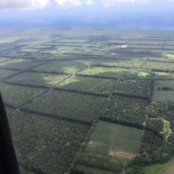 Blue Hawaiian Helicopters - Aerial Tours Near Me - Kahului, Hawaii Blue Hawaiian Helicopters - Aerial Tours Near Me - Kahului, Hawaii