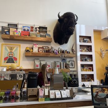 Daisy Chain Coffee - a bull head mounted on the wall - Coffee & Tea Near Me - Des Moines, Iowa