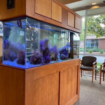 Blue Oak Dental Rocklin - The tranquil waiting room... - General Dentistry Near Me - Rocklin, California Blue Oak Dental Rocklin - The tranquil waiting room... - General Dentistry Near Me - Rocklin, California