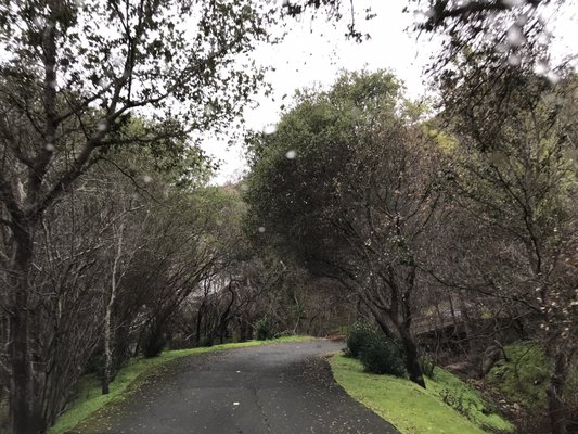 Patland Estate Vineyards by null