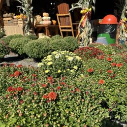 Hozak Farms