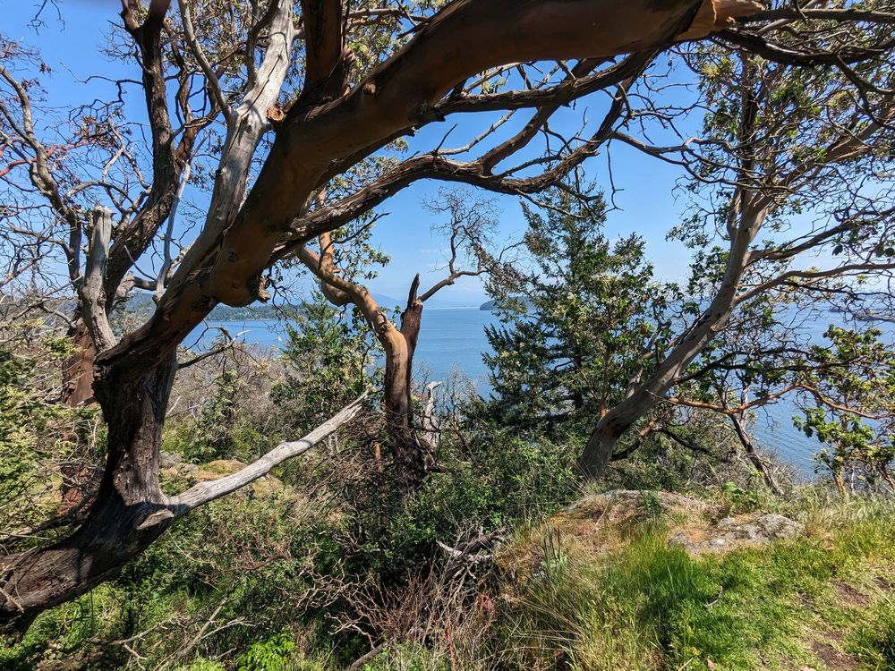 Cap Sante Park Image