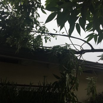 B & J Tree Service - Tree Services Near Me - Tustin, California