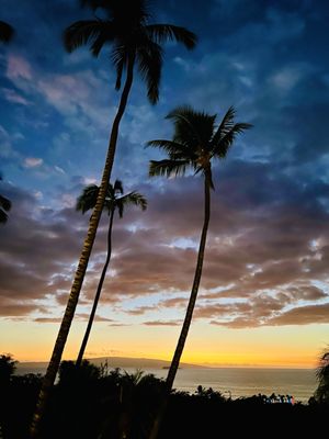 Gather on Maui for Food + Drink by null