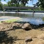 Photo of Channahon State Park