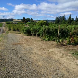 Crawford's Nursery