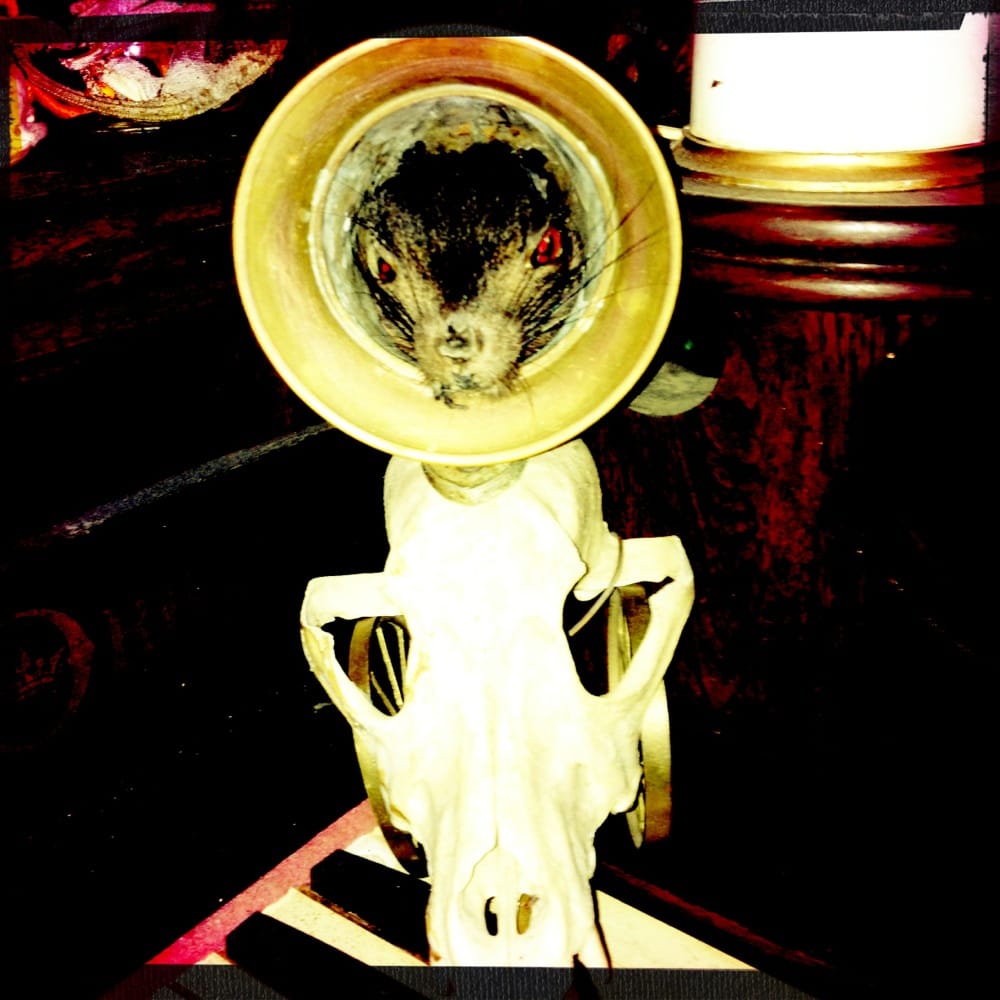 Social spots from Trundle Manor