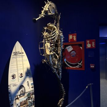 Oceanogràfic - Aquariums Near Me - Valencia, V