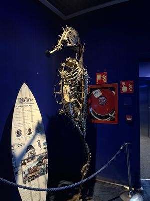 Oceanogràfic València by null