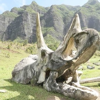 Kualoa Ranch - Kong-Skull Island Movie Set! Great Photo Ops! - Tours Near Me - Kaneohe, Hawaii Kualoa Ranch - Kong-Skull Island Movie Set! Great Photo Ops! - Tours Near Me - Kaneohe, Hawaii