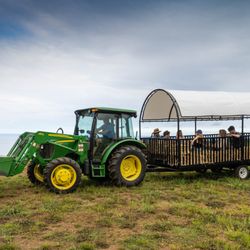 Pali Nana Farms - Pali Nana hayride
