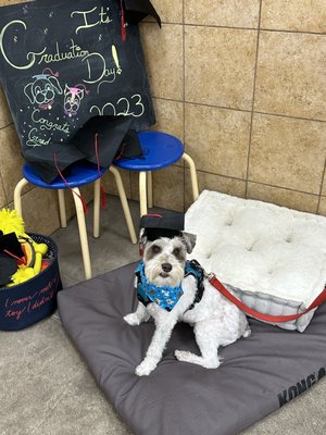 PetSmart by null