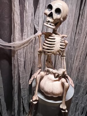 Bob Baker Marionette Theater by null