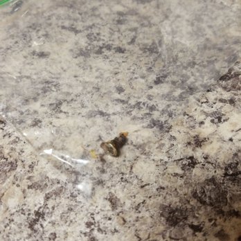 Taqueria Durango - Machine screw in my pastor torta - Mexican Near Me - Aurora, Illinois