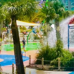 Summer Waves Water Park - Summer Waves Water Park, Jekyll Island