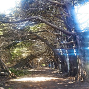 Wavecrest Open Space - Beaches Near Me - Half Moon Bay, California