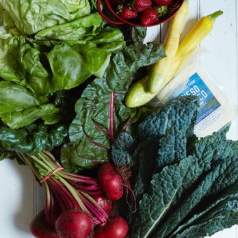 Local Roots - Seasonal Summer bounty - Farmers Market Near Me - Brooklyn, New York