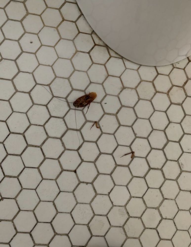 PEAK REAL ESTATE MANAGEMENT Updated October 2024 3700 Wilshire Blvd