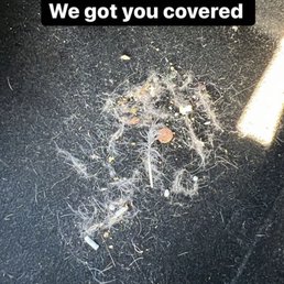 Cleaning my pet hair