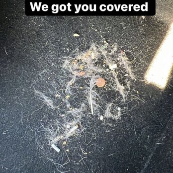Finest Mobile Detailing - Cleaning my pet hair - Auto Detailing Near Me