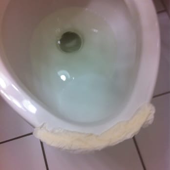 Sun Tower Hotels and Suites - This was what we found under our toilet seat right after our room had been cleaned. Ew! - Hotels Near Me - Fort Lauderdale, Florida Sun Tower Hotels and Suites - This was what we found under our toilet seat right after our room had been cleaned. Ew! - Hotels Near Me - Fort Lauderdale, Florida