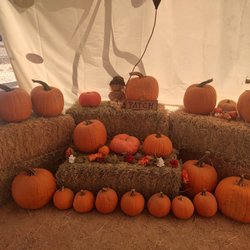 Arizona Pumpkin Patch